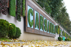 carsamba0021